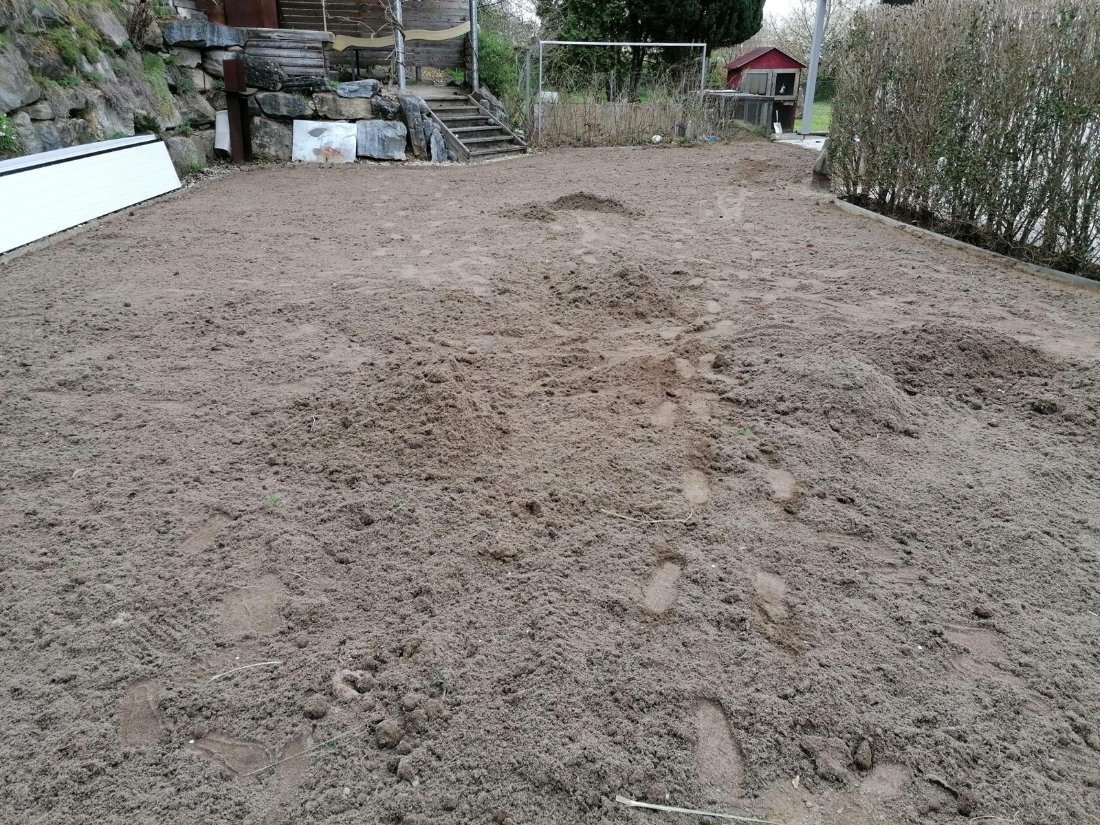 Projekt 9
