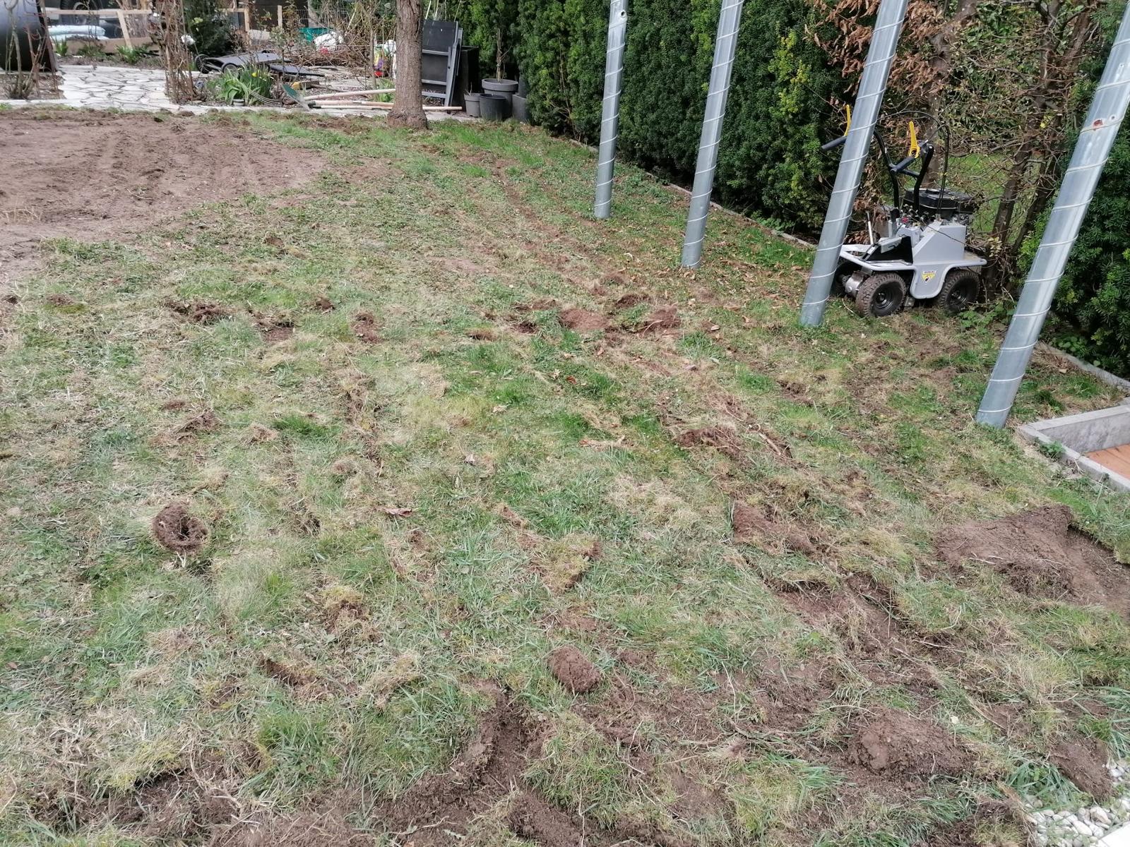 Projekt 10